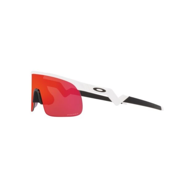 Occhiali oakley resistor polished white prizm field